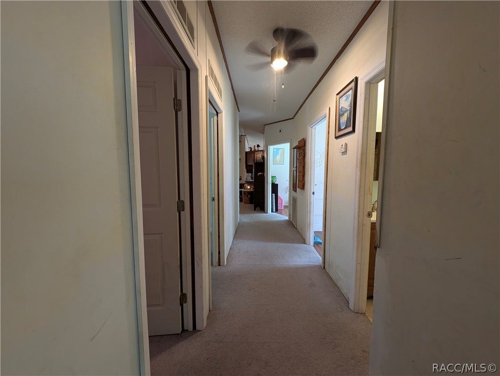 6202 W NIELSEN Court, Homosassa, FL 34446 6202 W NIELSEN Court, Homosassa, FL 34446