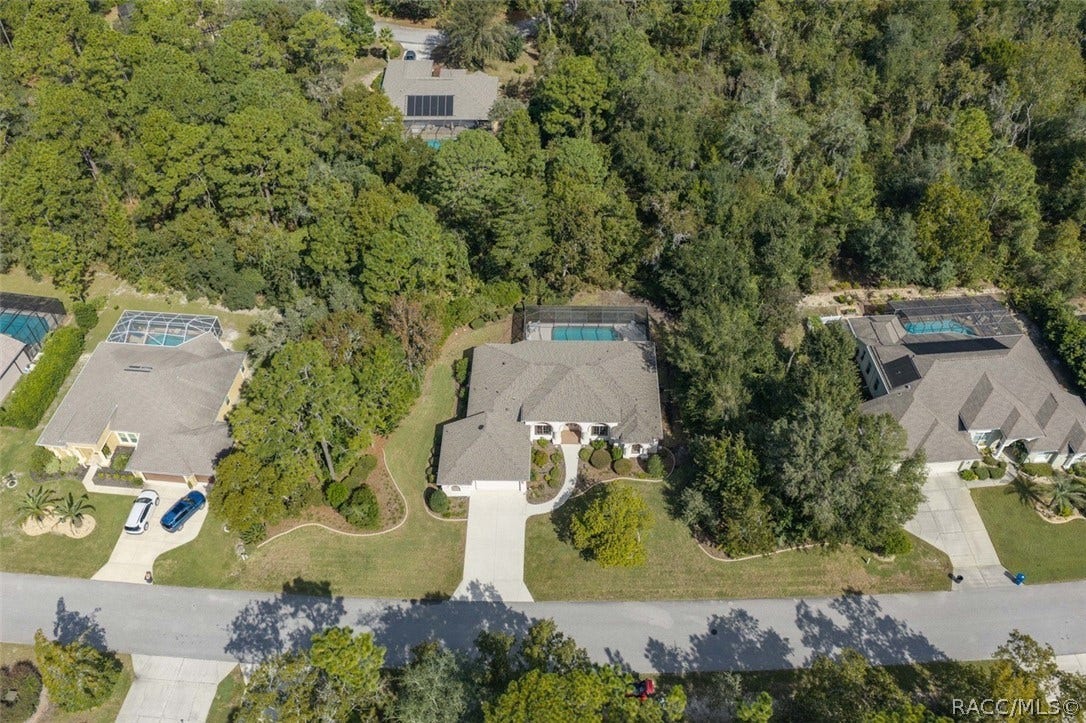 37 Livingstone Daisy Court, Homosassa, FL 34446 AERIAL VIEW 4
