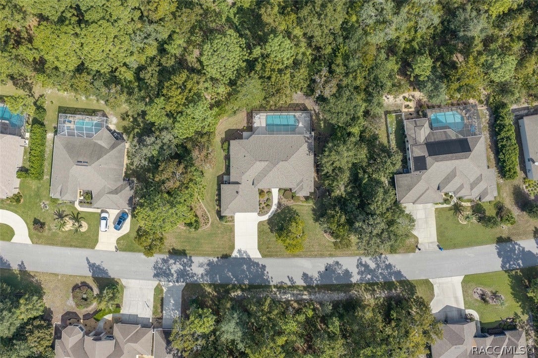 37 Livingstone Daisy Court, Homosassa, FL 34446 AERIAL VIEW 6
