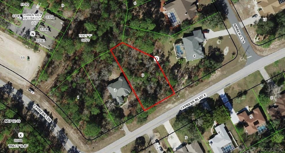 6 Cypress Boulevard E, Homosassa, FL 34446 AERIAL VIEW OF THE LOT