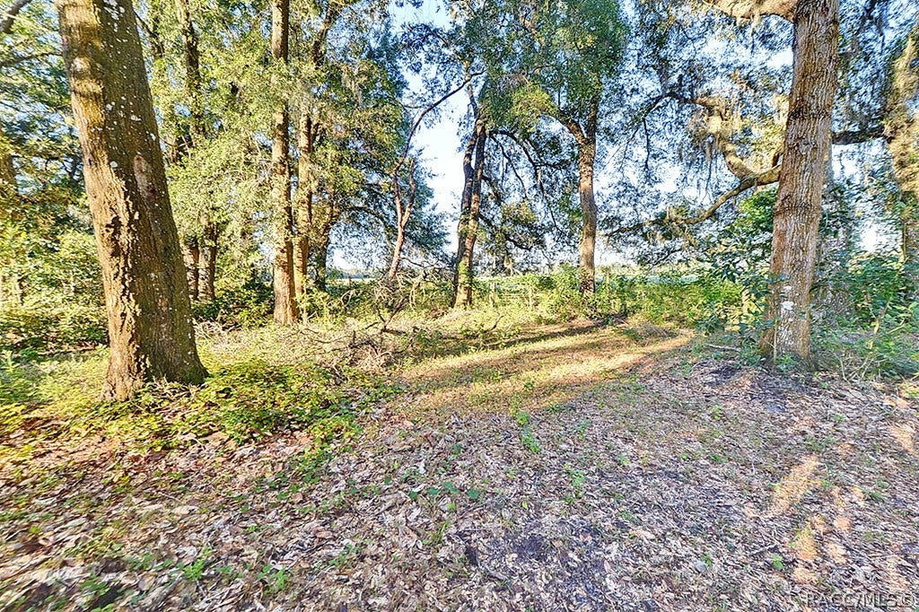 7090 S Florida Avenue, Floral City, FL 34436 7090 S Florida Avenue, Floral City, FL 34436