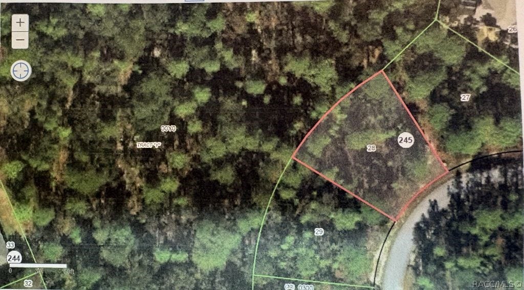 18 Hibiscus Court, Homosassa, FL 34446 AERIAL VIEW OF THE LOT