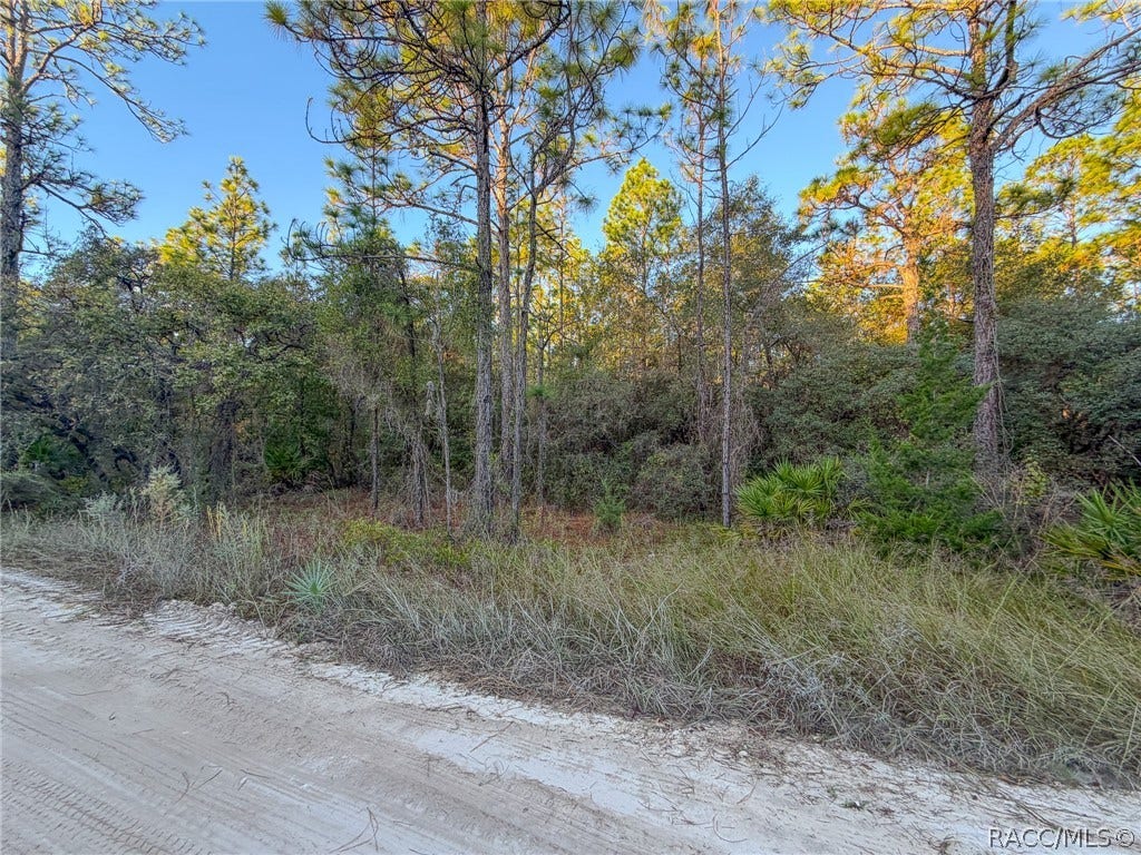 6098 N Velveteen Point, Dunnellon, FL 34433 6098 N Velveteen Point, Dunnellon, FL 34433