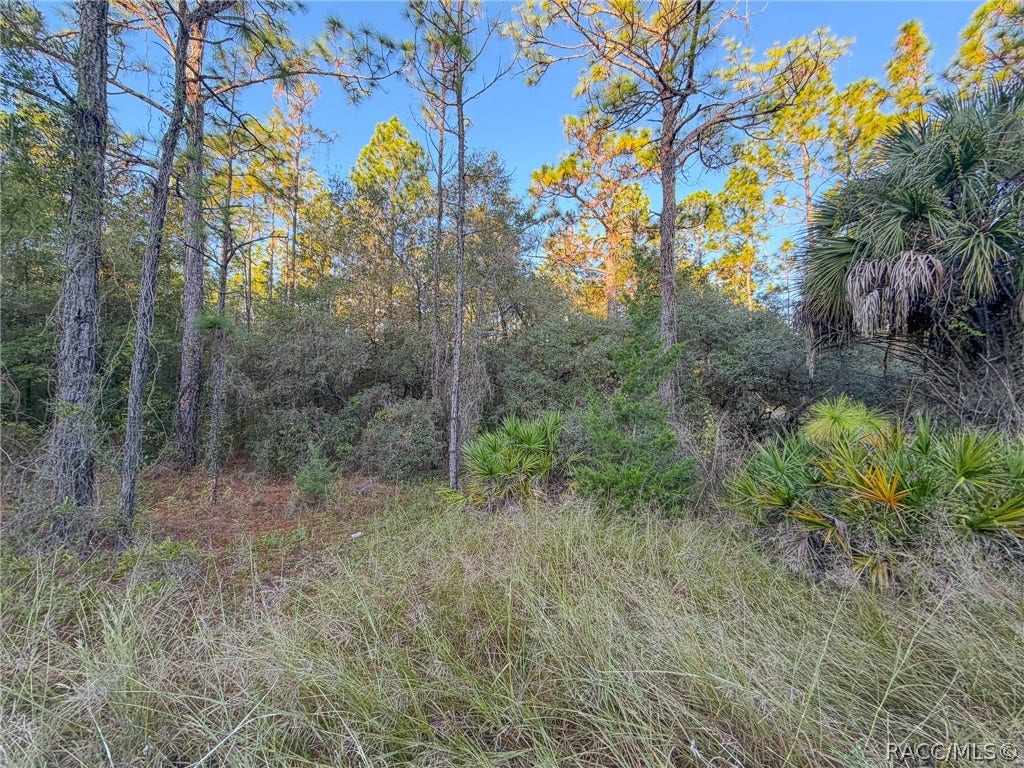 6098 N Velveteen Point, Dunnellon, FL 34433 6098 N Velveteen Point, Dunnellon, FL 34433