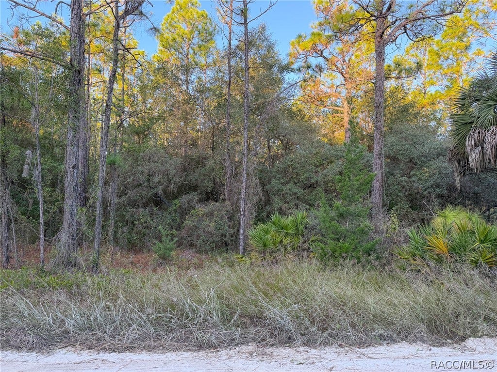 6098 N Velveteen Point, Dunnellon, FL 34433 6098 N Velveteen Point, Dunnellon, FL 34433