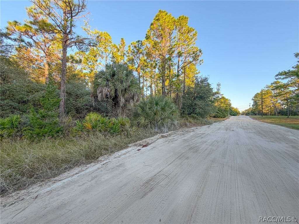 6098 N Velveteen Point, Dunnellon, FL 34433 6098 N Velveteen Point, Dunnellon, FL 34433