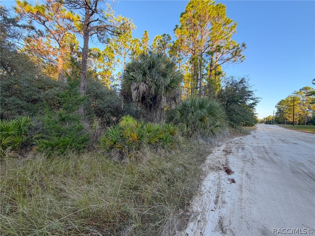 6098 N Velveteen Point, Dunnellon, FL 34433 6098 N Velveteen Point, Dunnellon, FL 34433