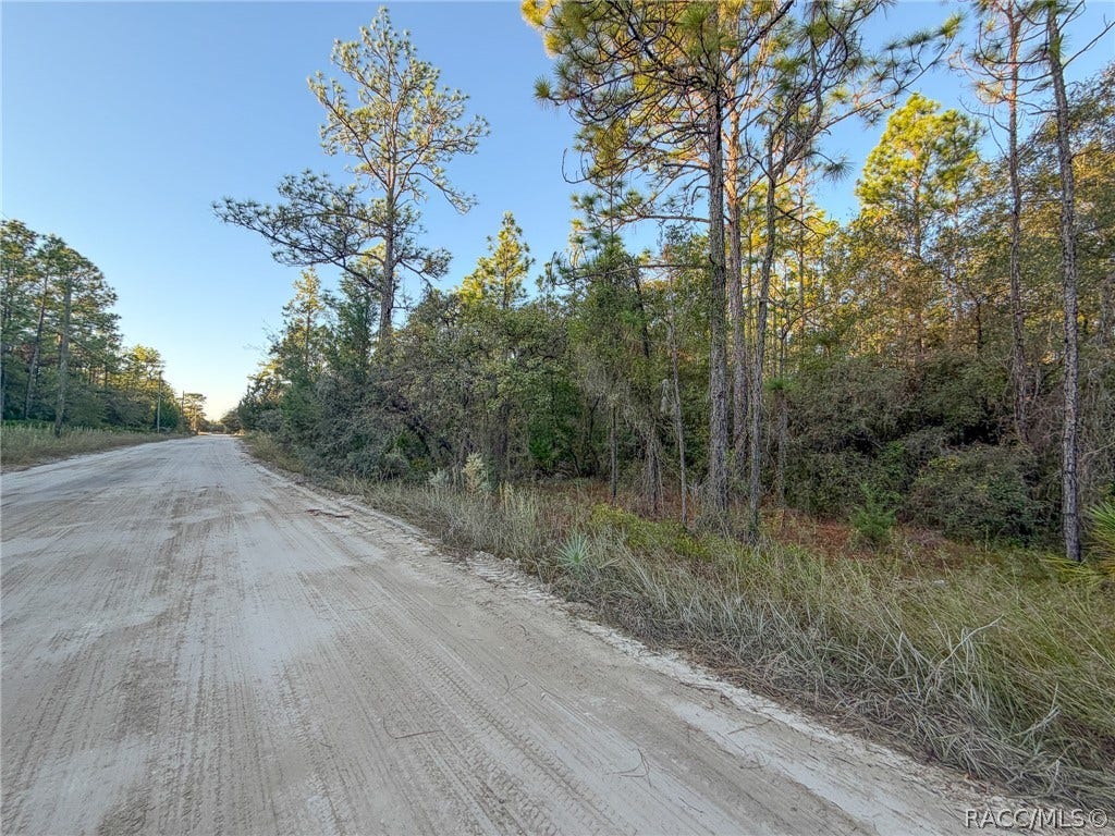 6098 N Velveteen Point, Dunnellon, FL 34433 6098 N Velveteen Point, Dunnellon, FL 34433