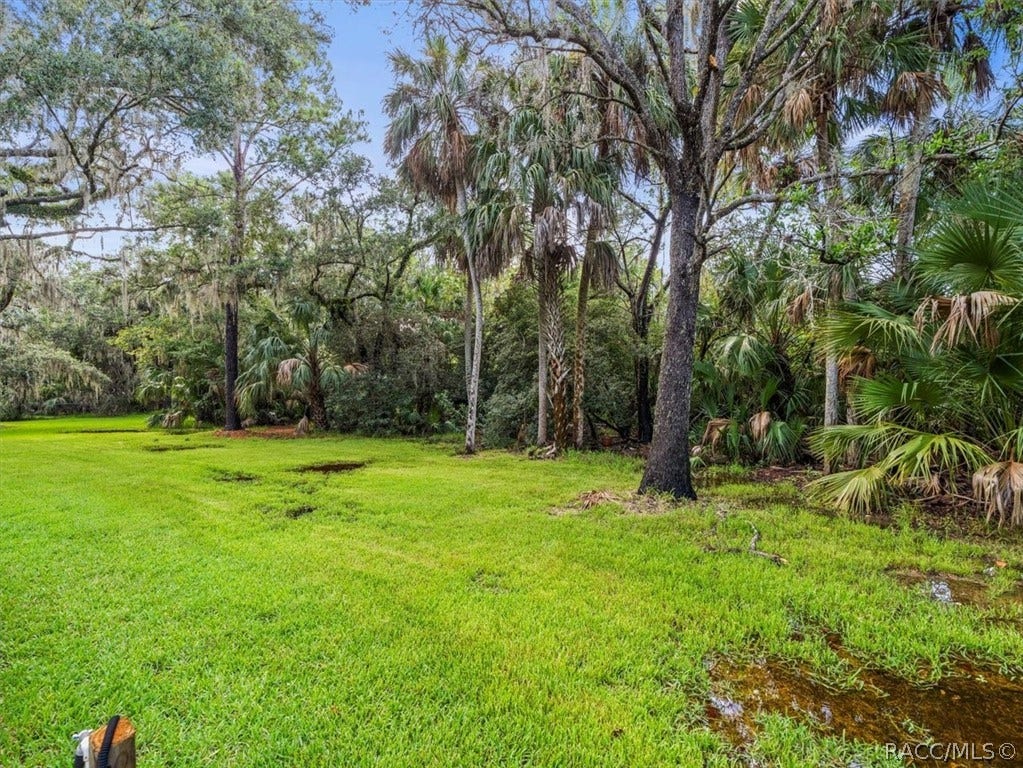 11815 W Waterway Drive, Homosassa, FL 34448 11815 W Waterway Drive, Homosassa, FL 34448