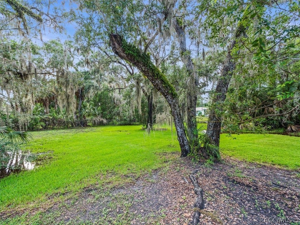 11815 W Waterway Drive, Homosassa, FL 34448 11815 W Waterway Drive, Homosassa, FL 34448