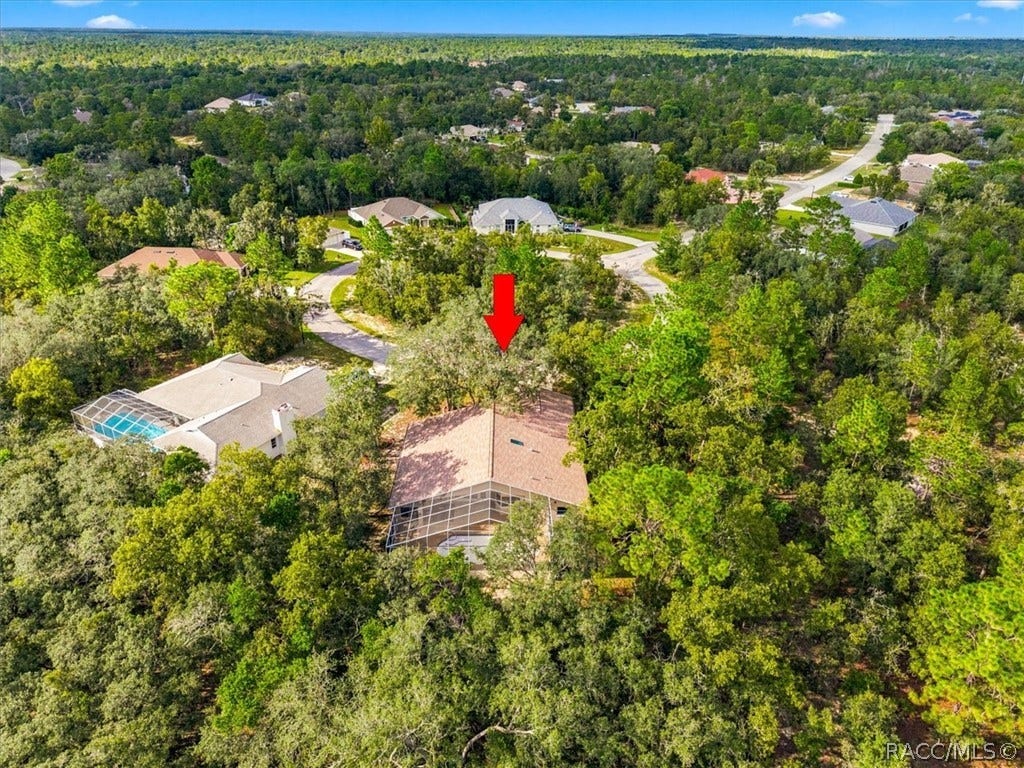 18 Dahlia Court S, Homosassa, FL 34446 18 Dahlia Court S, Homosassa, FL 34446