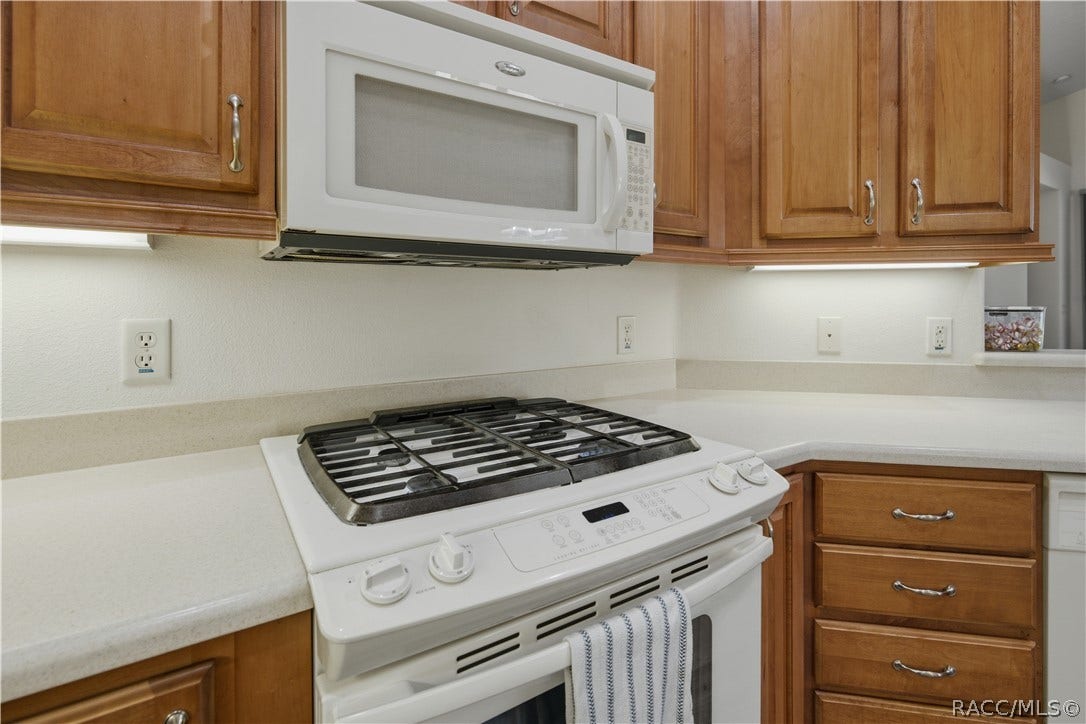 1591 W Laurel Glen Path, Hernando, FL 34442