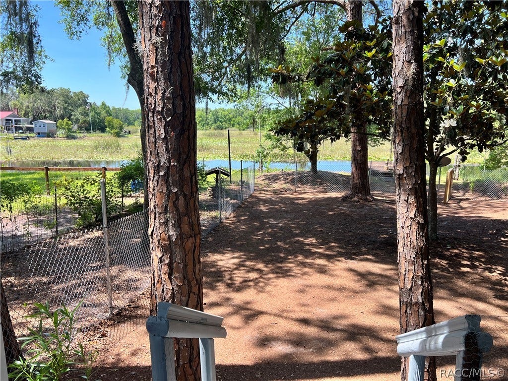 6006 N Tsala Apopka Drive, Hernando, FL 34442 6006 N Tsala Apopka Drive, Hernando, FL 34442