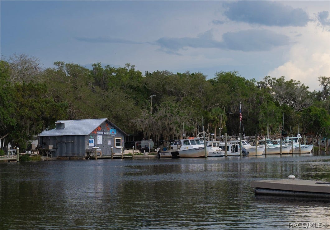 11579 W Rosa Court, Homosassa, FL 34448 11579 W Rosa Court, Homosassa, FL 34448