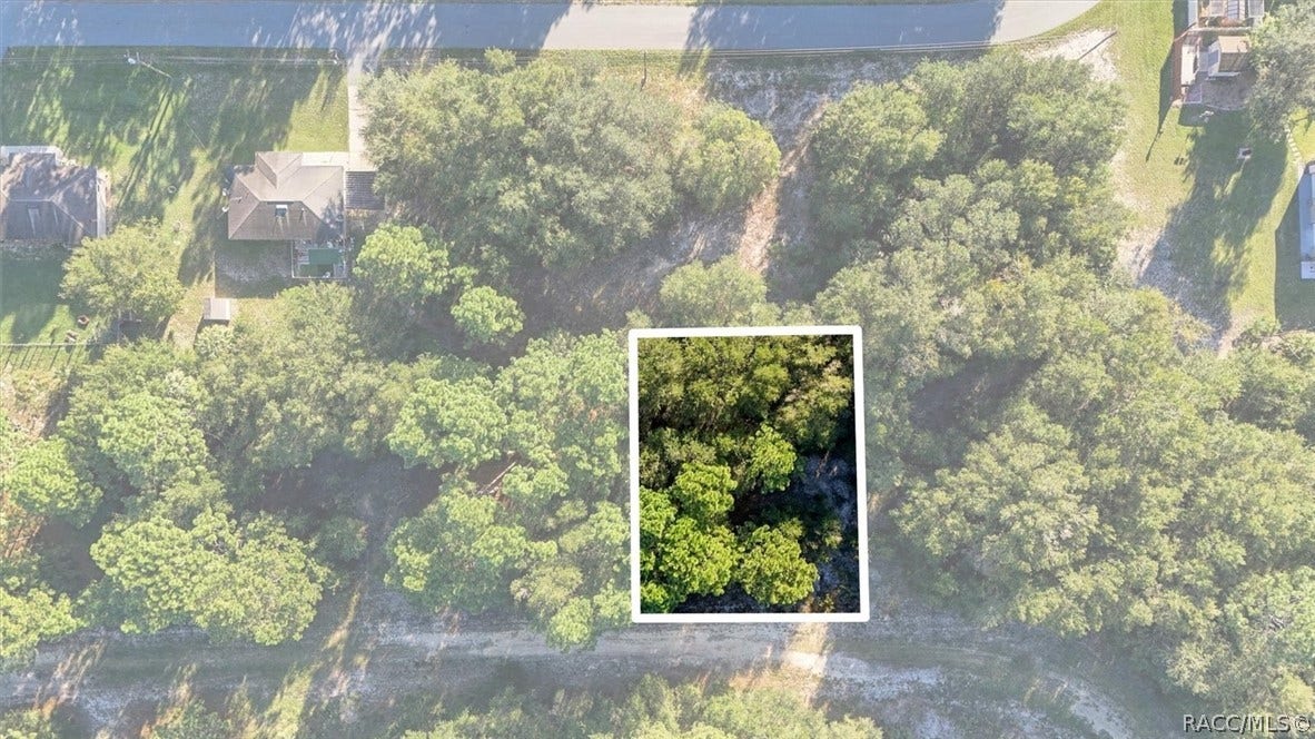 8591 N San Filippo Loop, Crystal River, FL 34428 8591 N San Filippo Loop, Crystal River, FL 34428