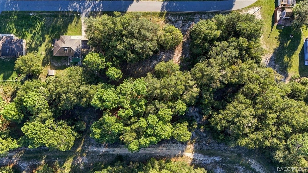 8591 N San Filippo Loop, Crystal River, FL 34428 8591 N San Filippo Loop, Crystal River, FL 34428
