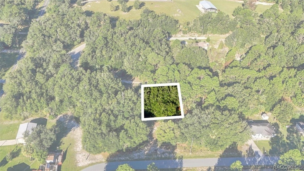 8591 N San Filippo Loop, Crystal River, FL 34428 8591 N San Filippo Loop, Crystal River, FL 34428