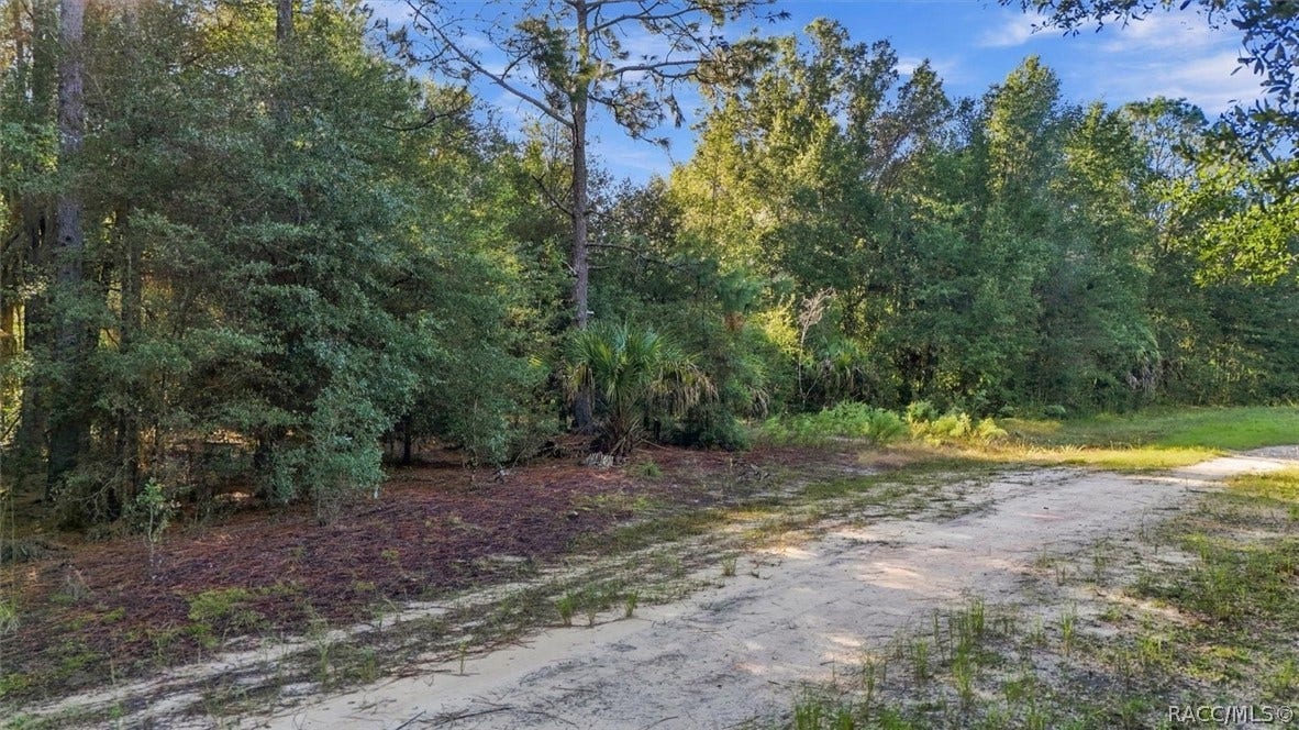 8591 N San Filippo Loop, Crystal River, FL 34428 8591 N San Filippo Loop, Crystal River, FL 34428