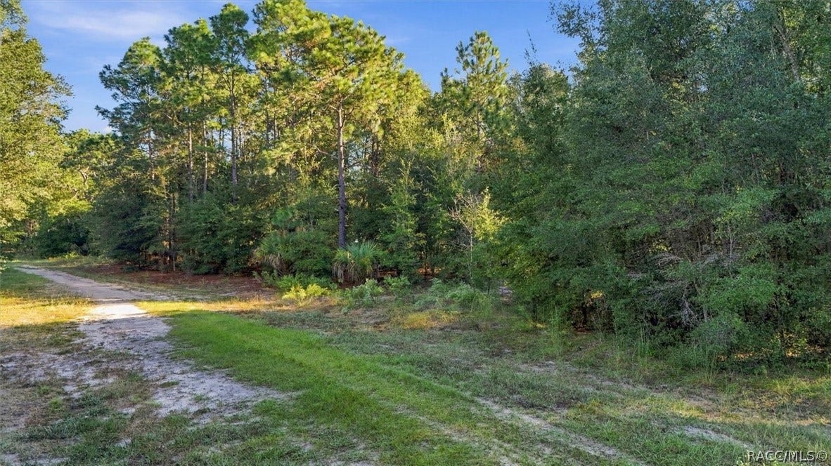 8591 N San Filippo Loop, Crystal River, FL 34428 8591 N San Filippo Loop, Crystal River, FL 34428