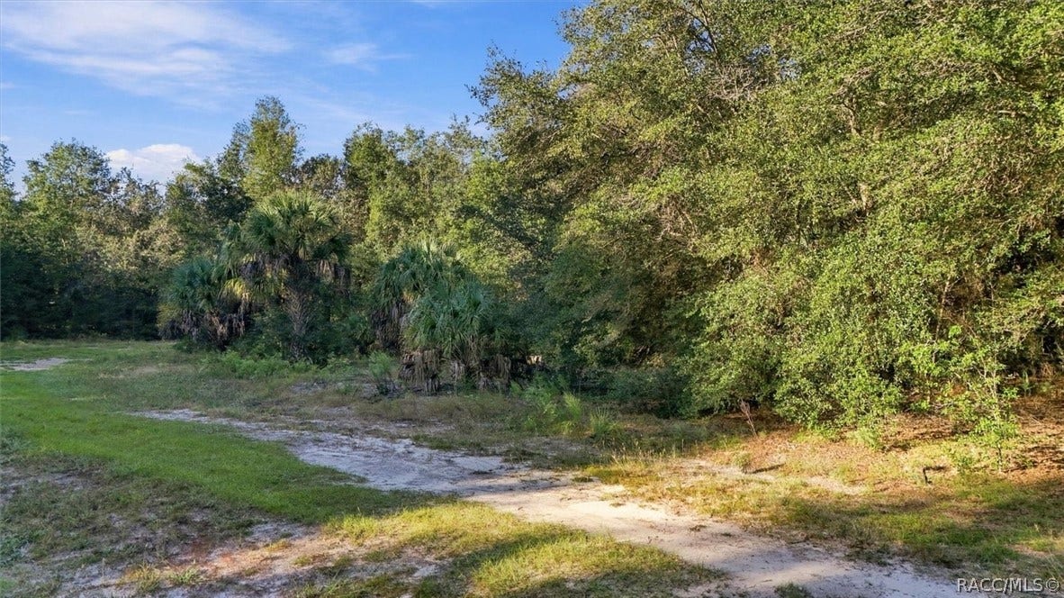 8583 N San Filippo Loop, Crystal River, FL 34428