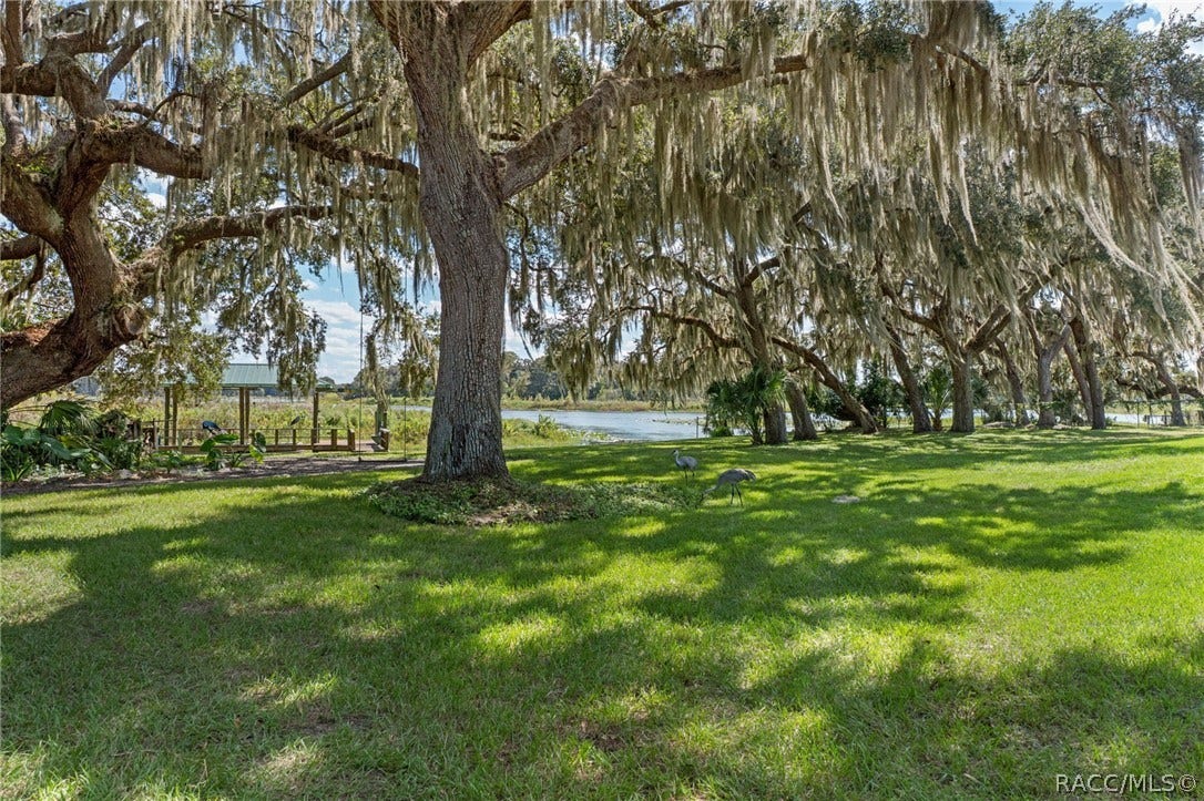 7728 E Allen Drive, Inverness, FL 34450 7728 E Allen Drive, Inverness, FL 34450