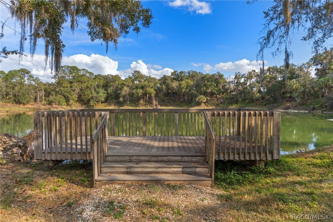 3525 N Chandler Drive, Hernando, FL 34442 community fishing dock