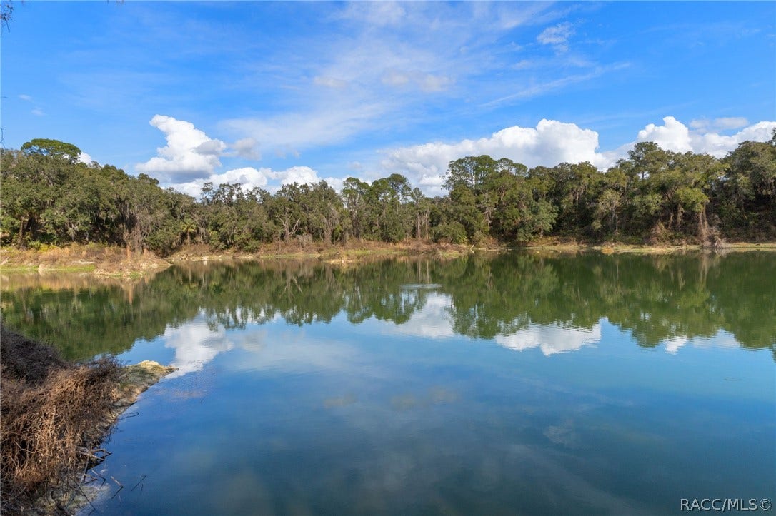 3525 N Chandler Drive, Hernando, FL 34442 Community Lake