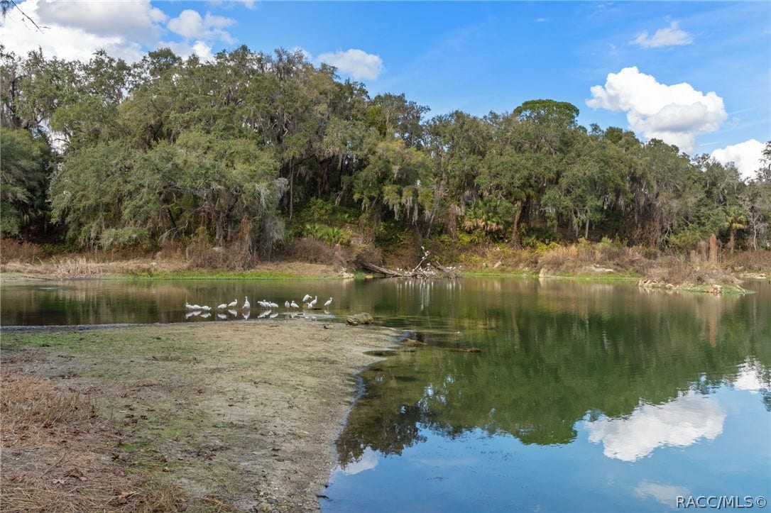 3525 N Chandler Drive, Hernando, FL 34442 Community Lake