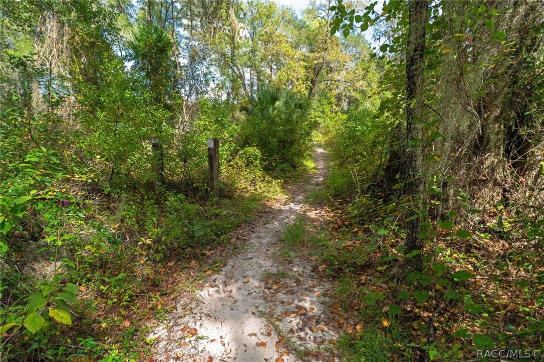 3525 N Chandler Drive, Hernando, FL 34442 Private Trail Access to Rails to Trails