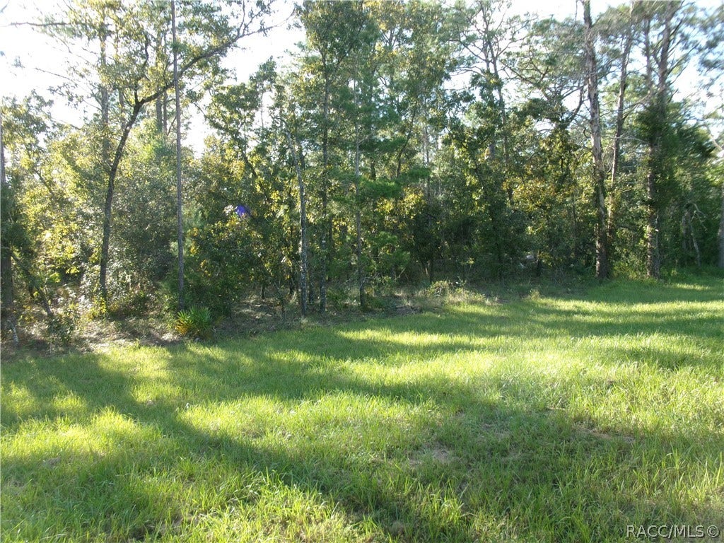 32 Pagoda Drive, Homosassa, FL 34446 32 Pagoda Drive, Homosassa, FL 34446