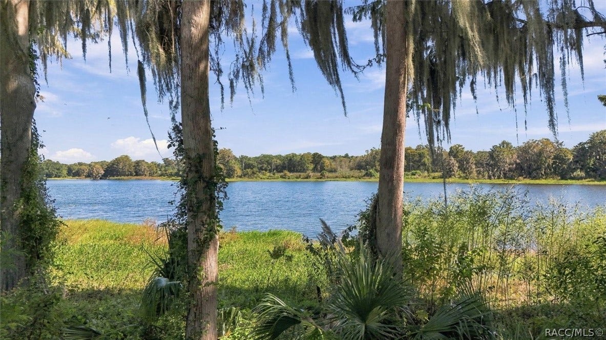 1405 S Waterview Drive, Inverness, FL 34450 1405 S Waterview Drive, Inverness, FL 34450