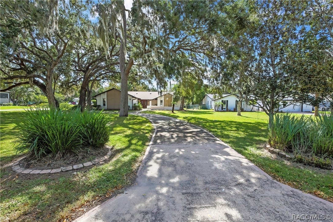 11806 W Riverhaven Drive, Homosassa, FL 34448 Concrete driveway shaded by mature oaks.