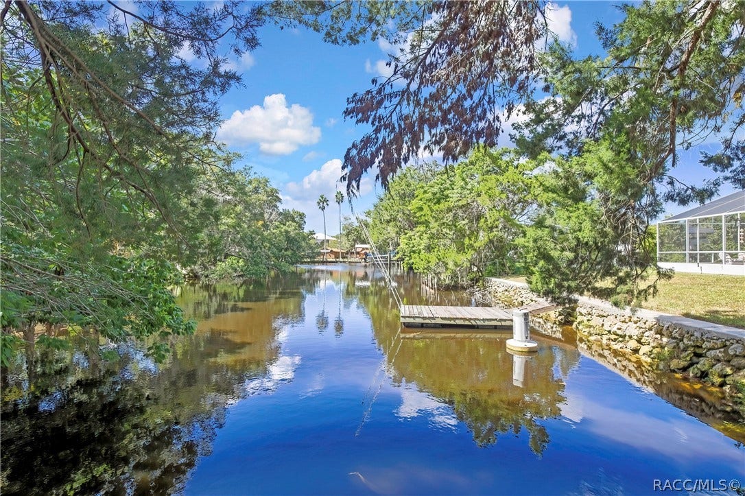 11806 W Riverhaven Drive, Homosassa, FL 34448 Canal frontage with tree-lined banks.
