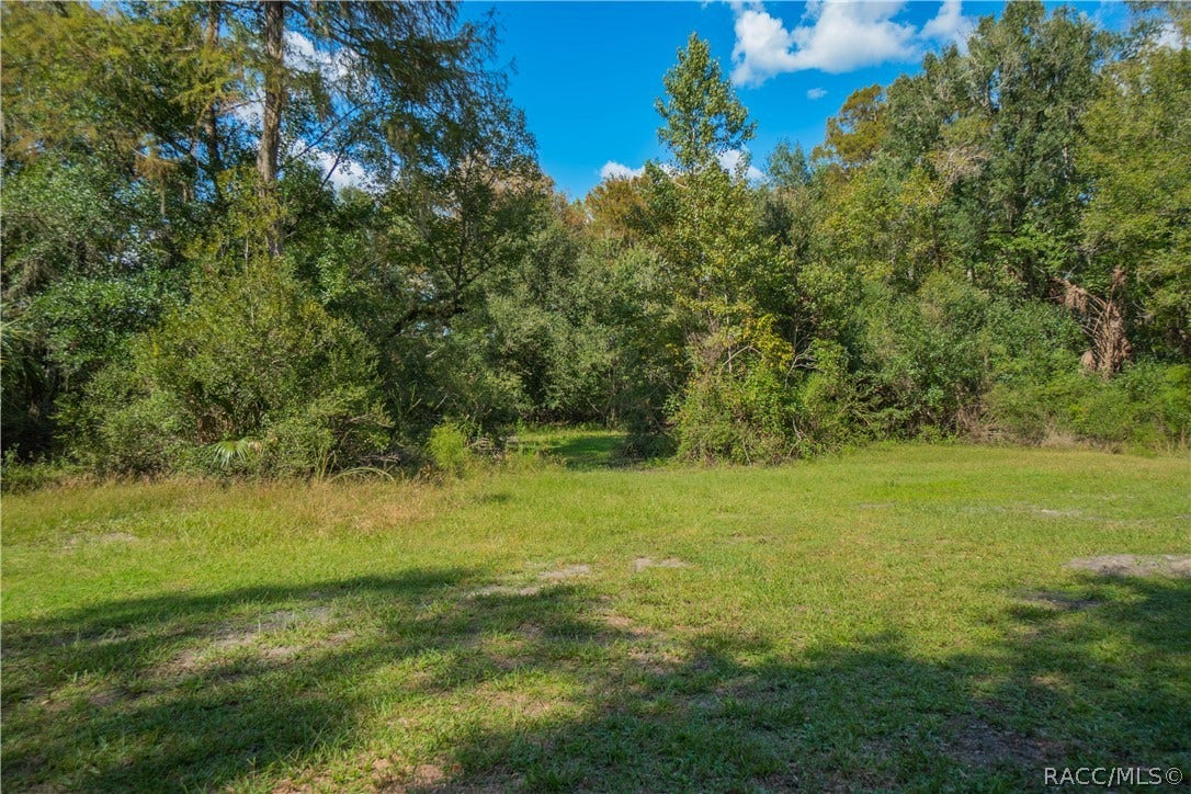 11105 E Ownbey Court, Floral City, FL 34436 11105 E Ownbey Court, Floral City, FL 34436
