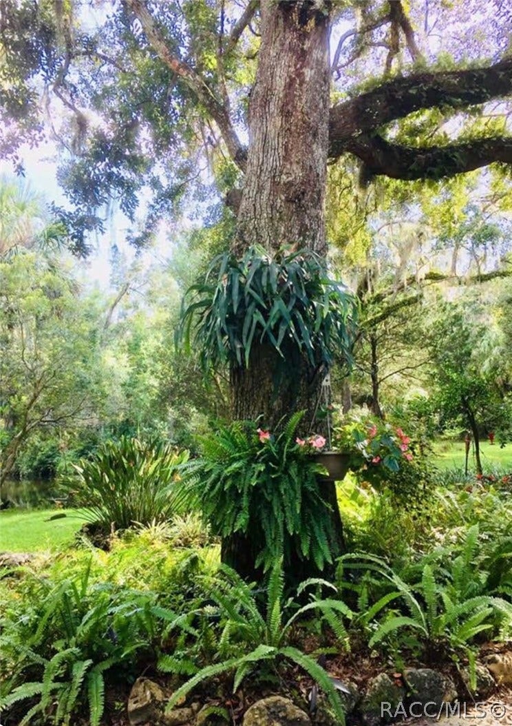 398 S Winterset Avenue, Crystal River, FL 34429 398 S Winterset Avenue, Crystal River, FL 34429
