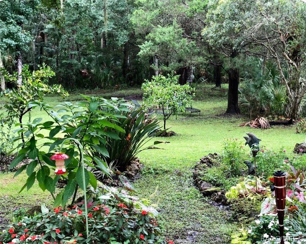 398 S Winterset Avenue, Crystal River, FL 34429 398 S Winterset Avenue, Crystal River, FL 34429