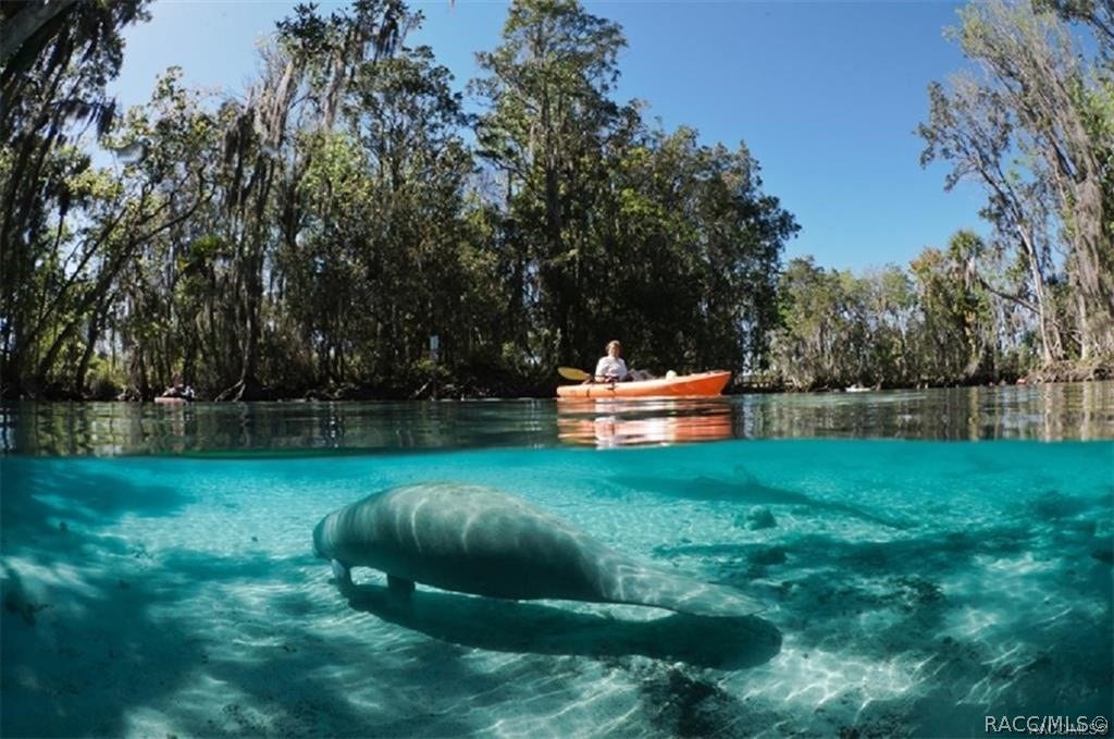 Citrus County has been recognized as one of the best areas in the US for kayaking, canoing, and other water sports.