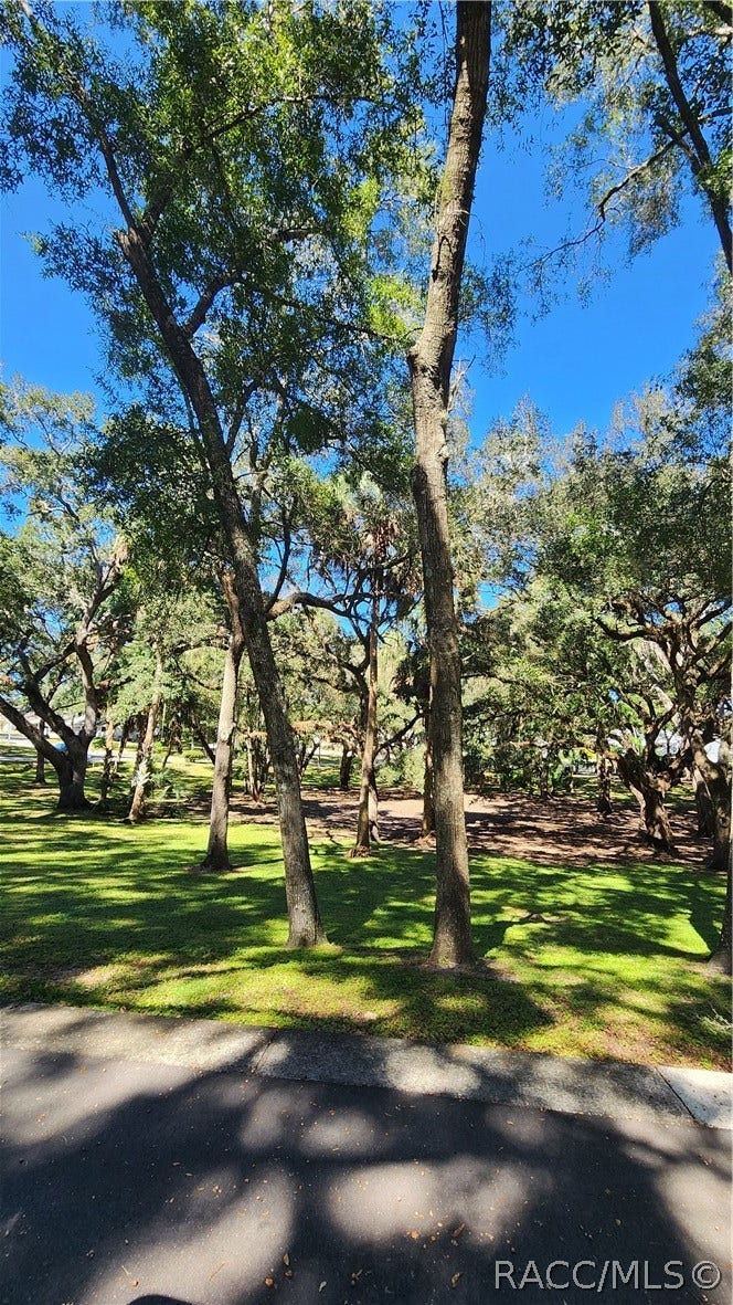 3950 N Huckleberry Point, Beverly Hills, FL 34465 3950 N Huckleberry Point, Beverly Hills, FL 34465