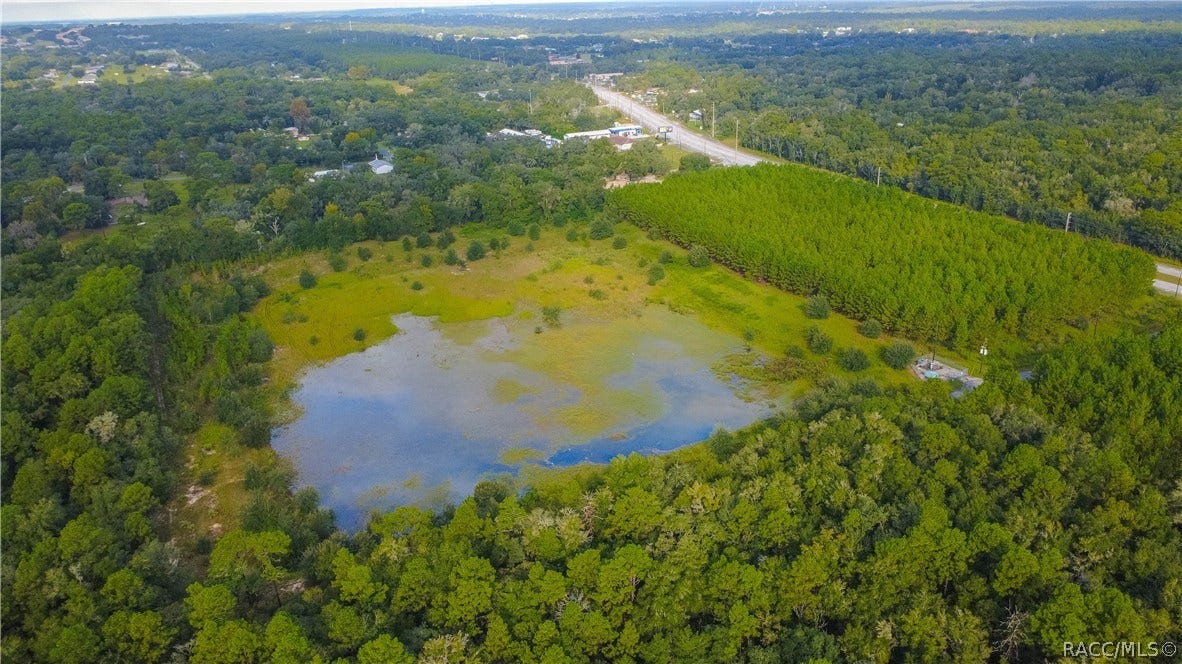 1620 E Norvell Bryant Highway, Hernando, FL 34442