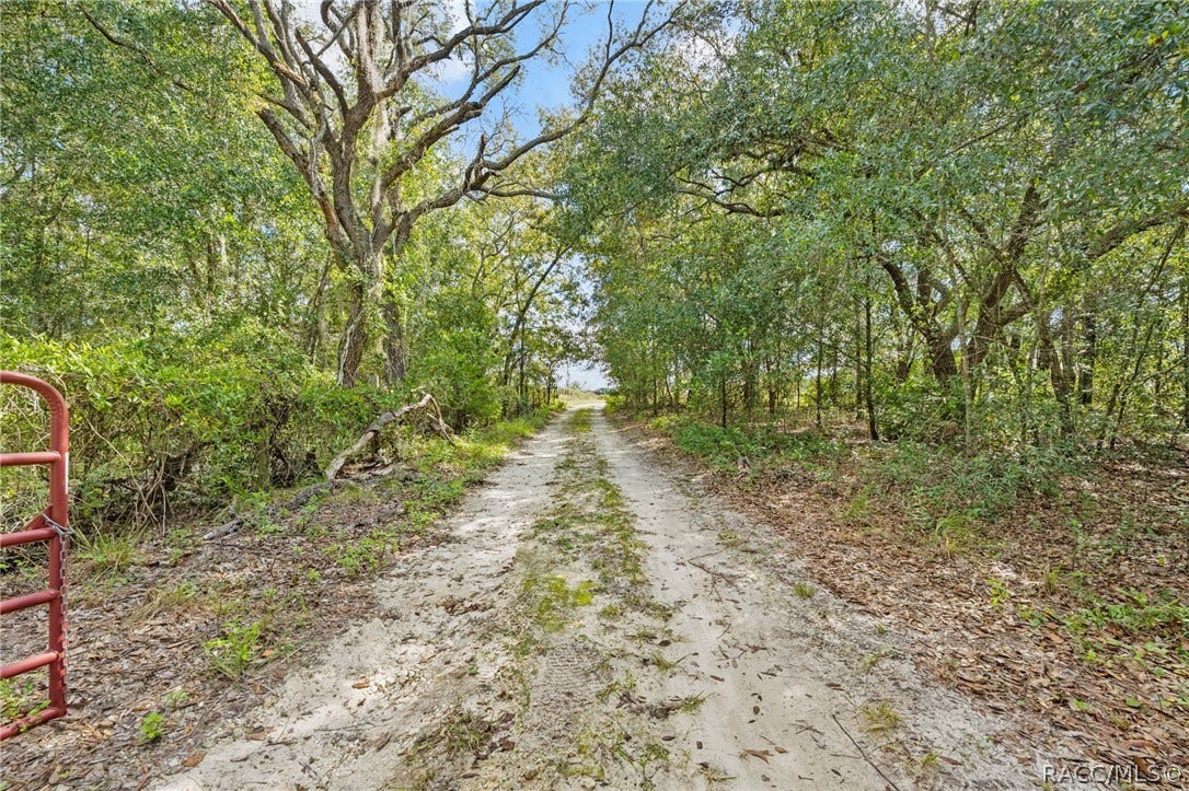 6101 S Nutshell Terrace, Lecanto, FL 34461 6101 S Nutshell Terrace, Lecanto, FL 34461