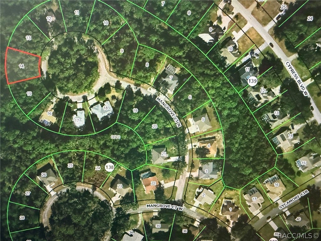 22 Mangrove Court N, Homosassa, FL 34446 22 Mangrove Court N, Homosassa, FL 34446