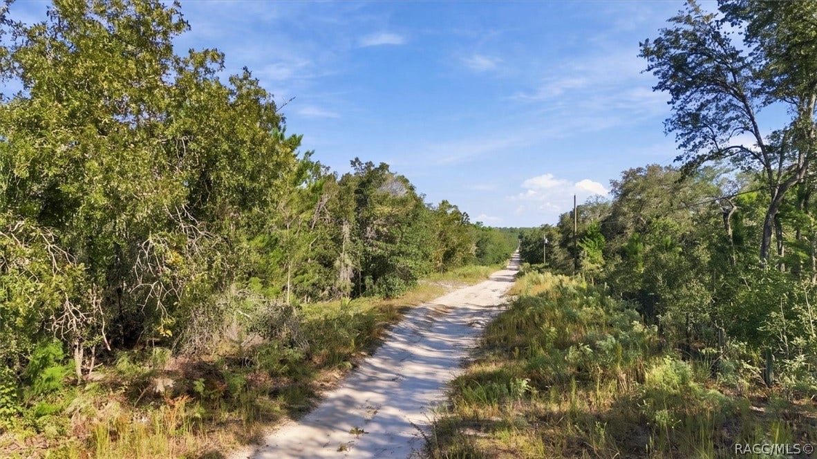 1899 W Cardinal Street, Lecanto, FL 34461 1899 W Cardinal Street, Lecanto, FL 34461