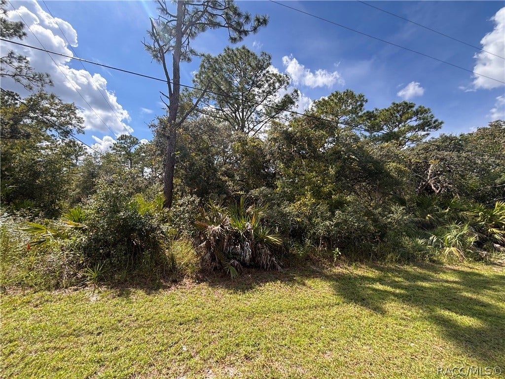 1072 S Candlenut Avenue, Homosassa, FL 34448 1072 S Candlenut Avenue, Homosassa, FL 34448