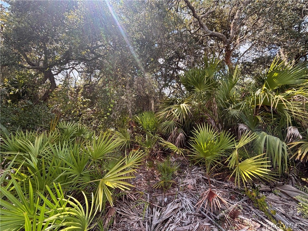 1072 S Candlenut Avenue, Homosassa, FL 34448 1072 S Candlenut Avenue, Homosassa, FL 34448