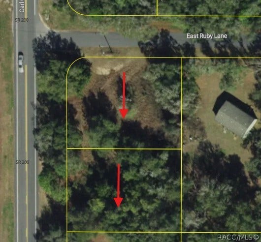 5119 5125 N Carl G Rose Highway, Hernando, FL 34442 Aerial View