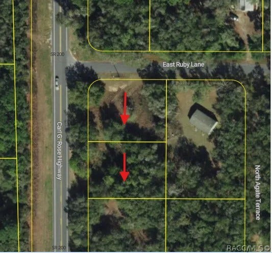 5119 5125 N Carl G Rose Highway, Hernando, FL 34442 Aerial View