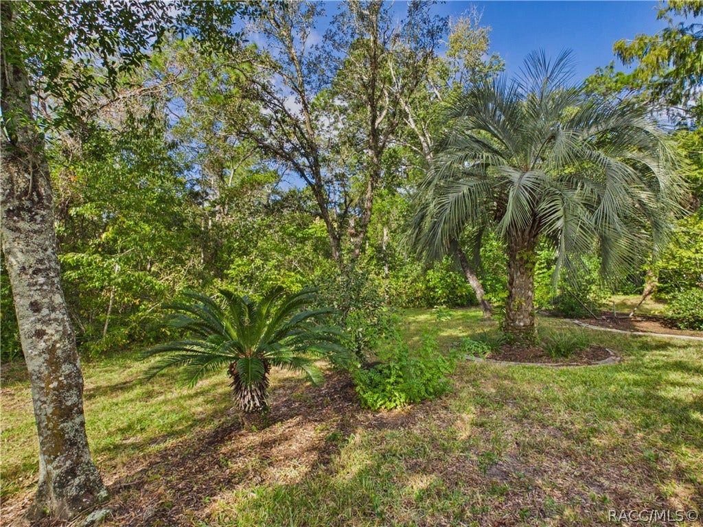 1 Salvia Court W, Homosassa, FL 34446 1 Salvia Court W, Homosassa, FL 34446