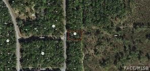 8145 N Yellowbird Avenue, Citrus Springs, FL 34434