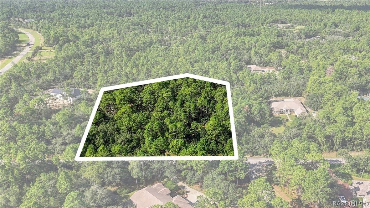 6096 W Ponderosa Place, Beverly Hills, FL 34465