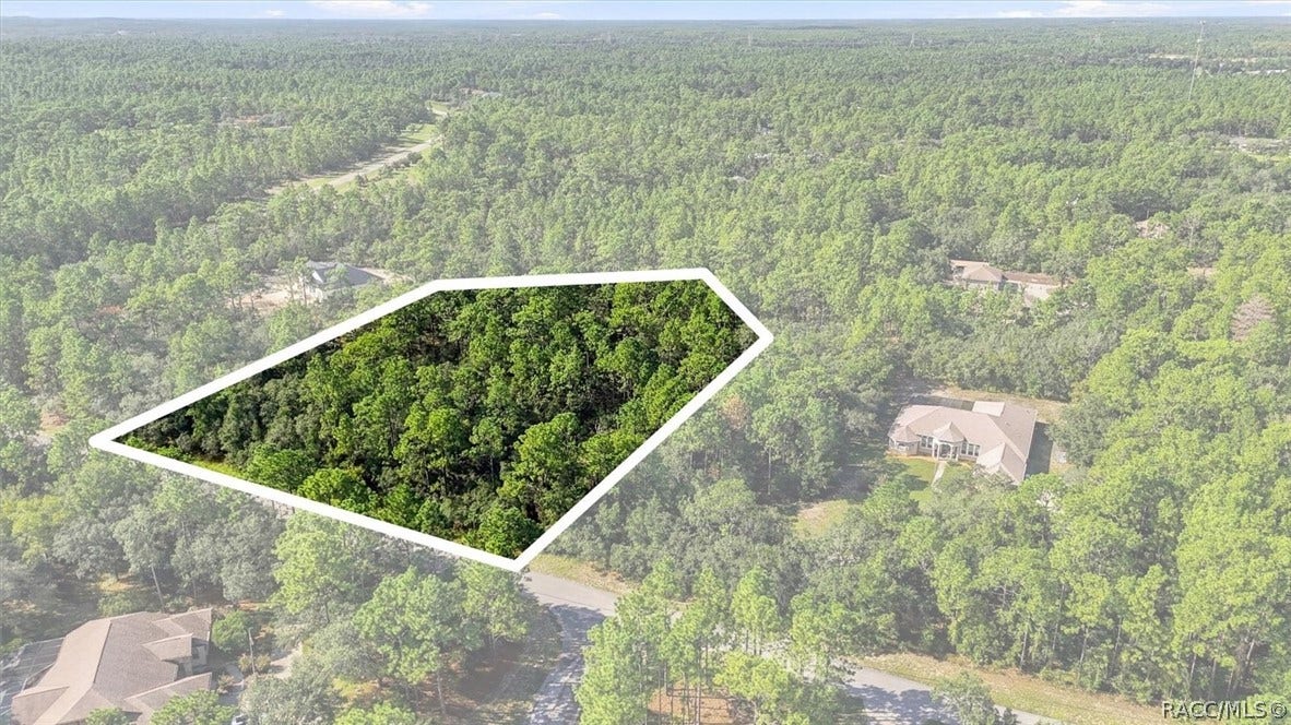 6096 W Ponderosa Place, Beverly Hills, FL 34465
